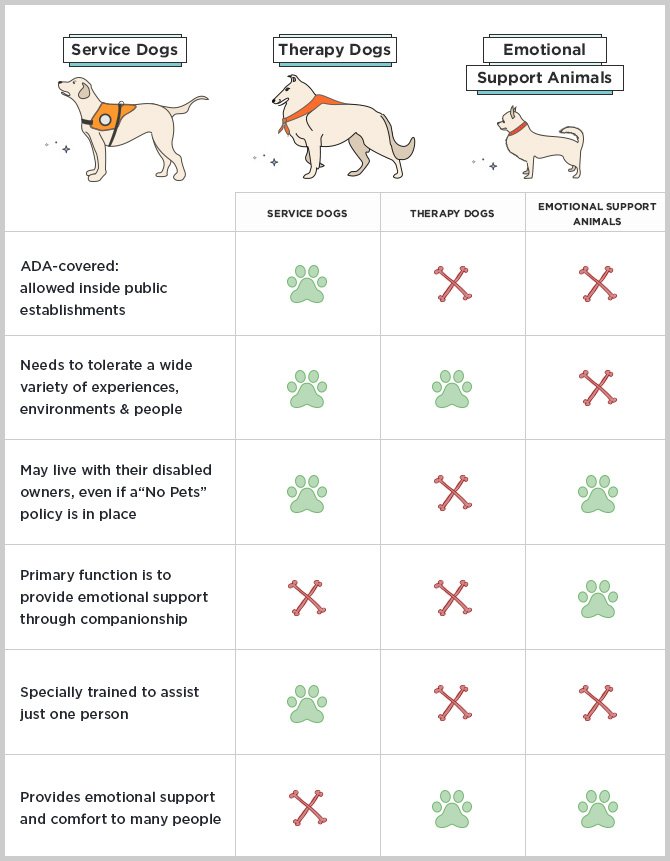 types of service dogs