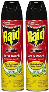 Raid Ant & Roach Killer Insecticide Spray Raid Ant & Roach Killer Insecticide Spray