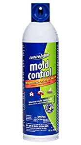 THE BEST Mold Killer Spray & Mildew Remover [Feb. 2020]